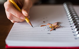 Parent Child Program